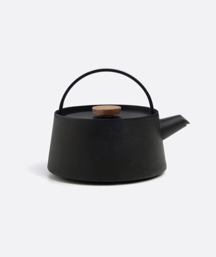 Iron kettle nambu tekki