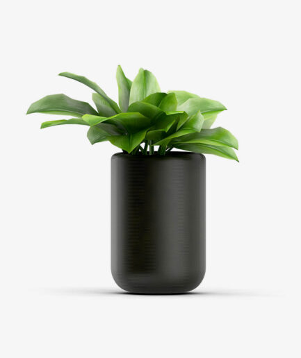 Tedo Emporium Bonsai with Vase