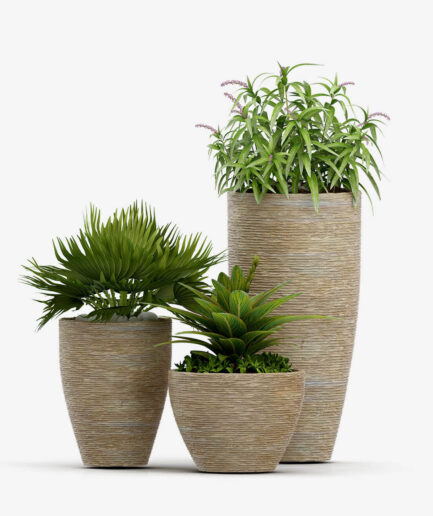 Tedo Organic Palm Ultra Vase Set