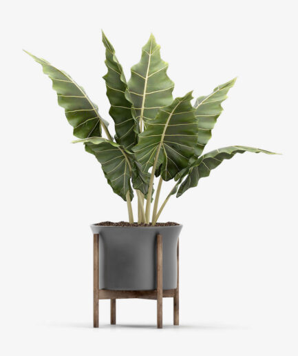 Emporium Royal Stand Vase With Tree